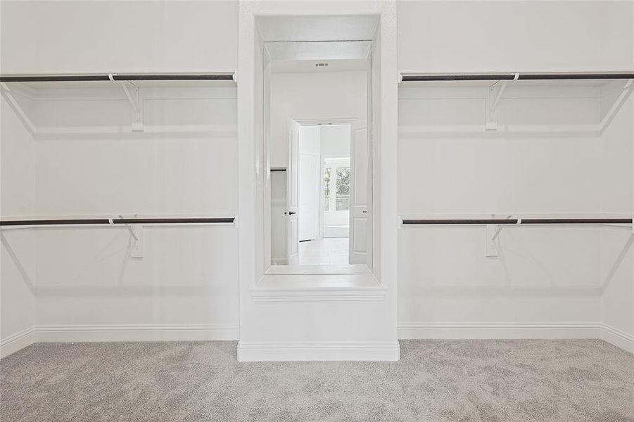 Walk in closet featuring carpet floors