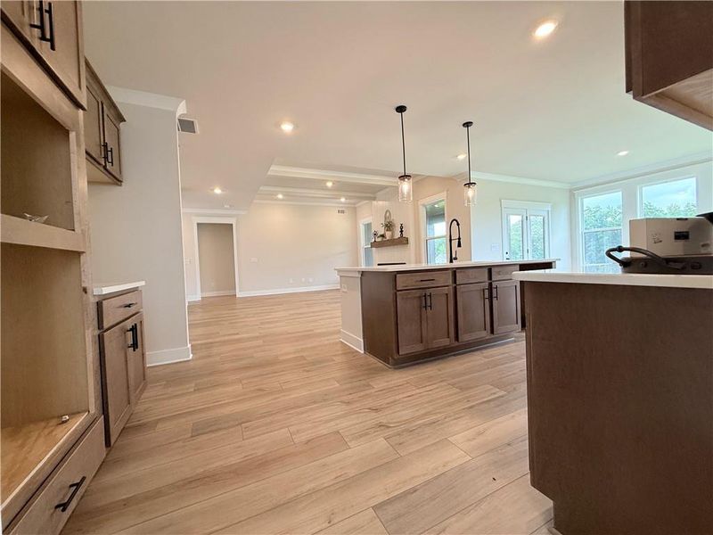 Furnished interior view inside a new home in Ponderosa Farms Reserve, Gainesville (Image 18). Furnished interior view inside a new home in Ponderosa Farms Reserve, Gainesville (Image 18).