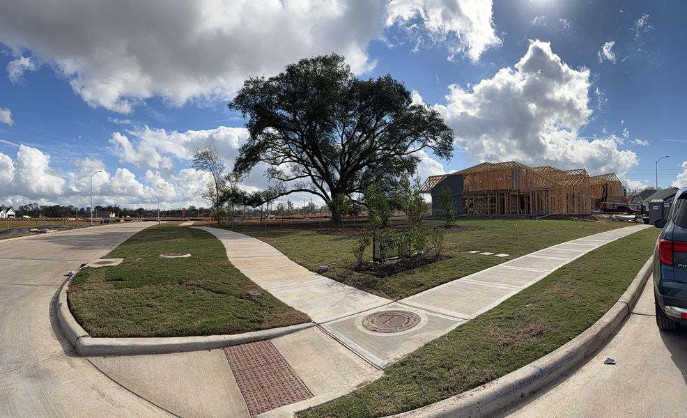 Green space across from home