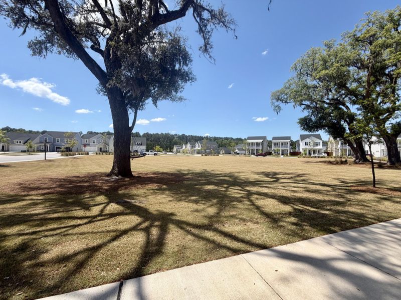 Natural landscape and outdoor views near  in Summerville (Image 39).