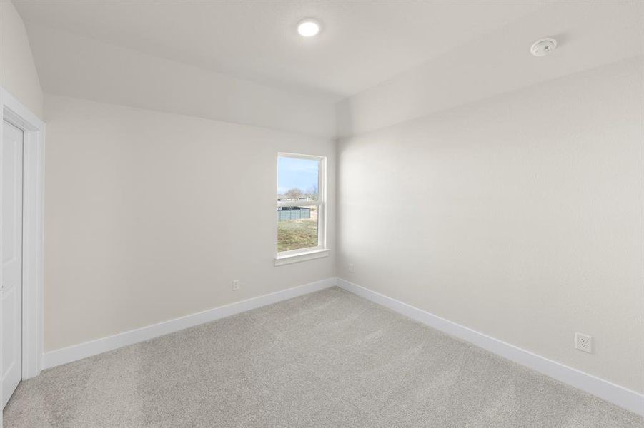 18. 7204 Indian Paintbrush - Bed 2