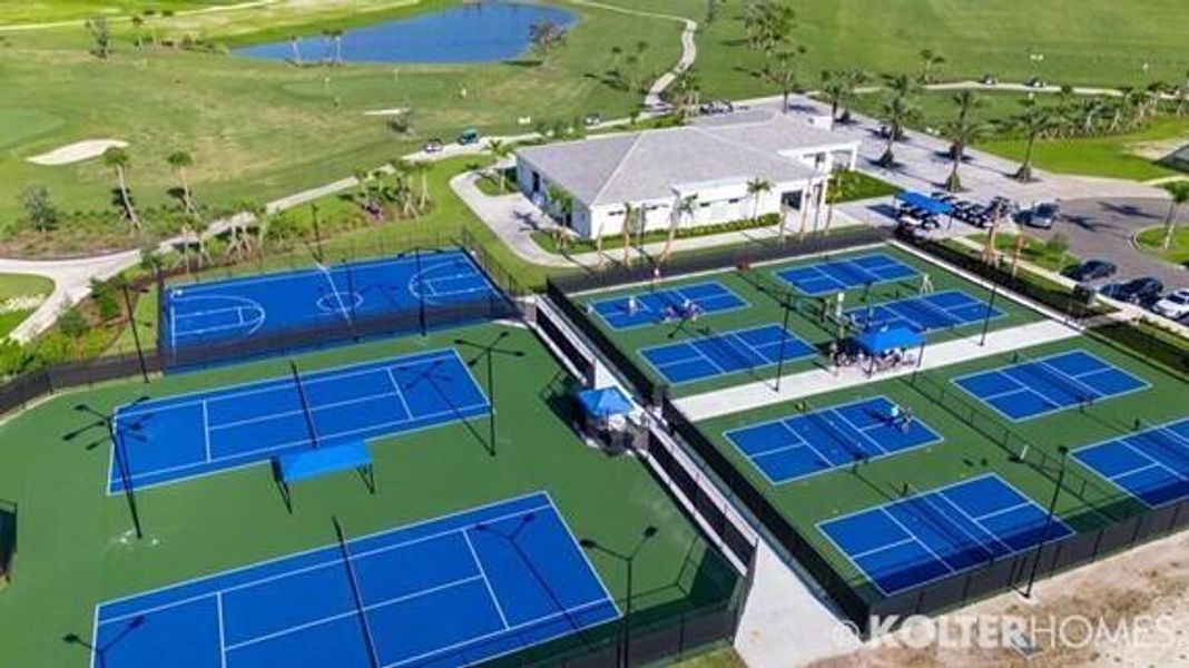 all-courts-web all-courts-web