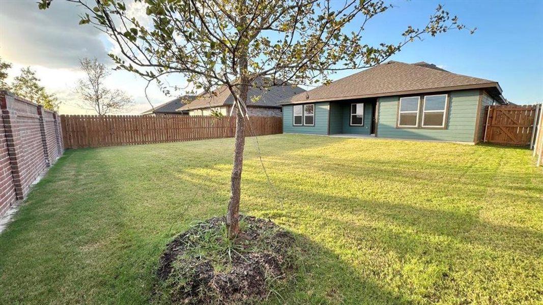 Exterior details and patio area of a home in Rock Creek Ranch, Fort Worth (Image 18).