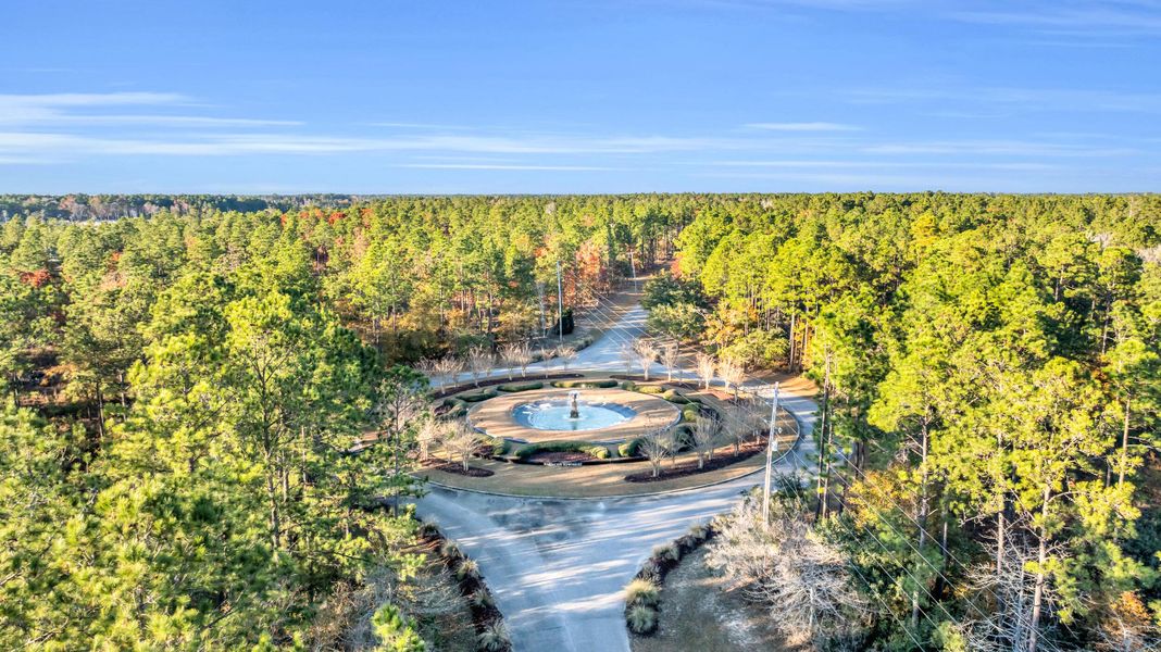 Natural landscape and outdoor views near  in Georgetown (Image 11).