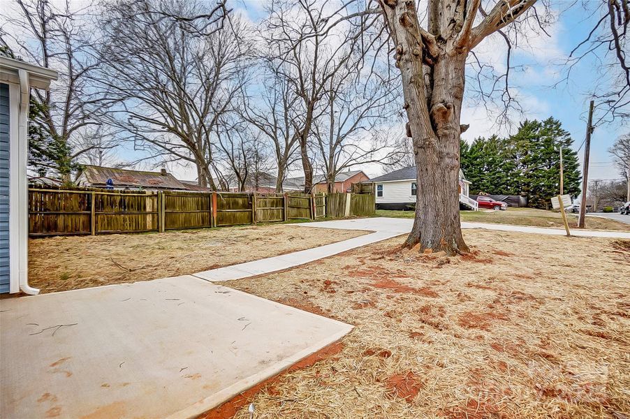 Backyard w/ Back Patio, Walkway, and Driveway