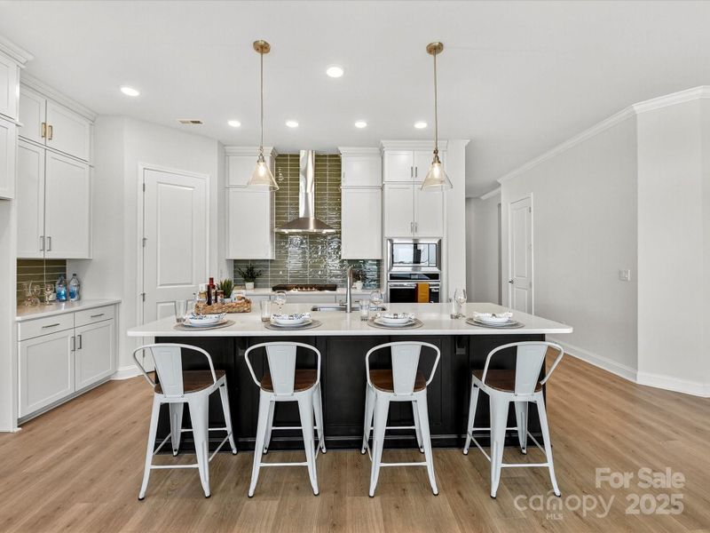 Furnished interior view inside a new home in Encore at Streamside - Tradition Series, Waxhaw (Image 12).