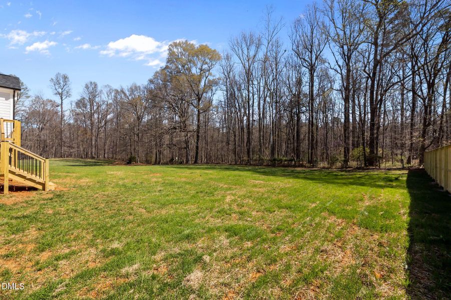 50-web-or-mls-P1112283