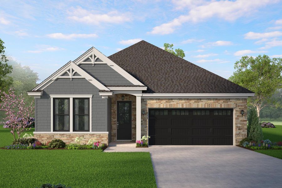 Keeneland 2- Aster Color Package Keeneland 2- Aster Color Package