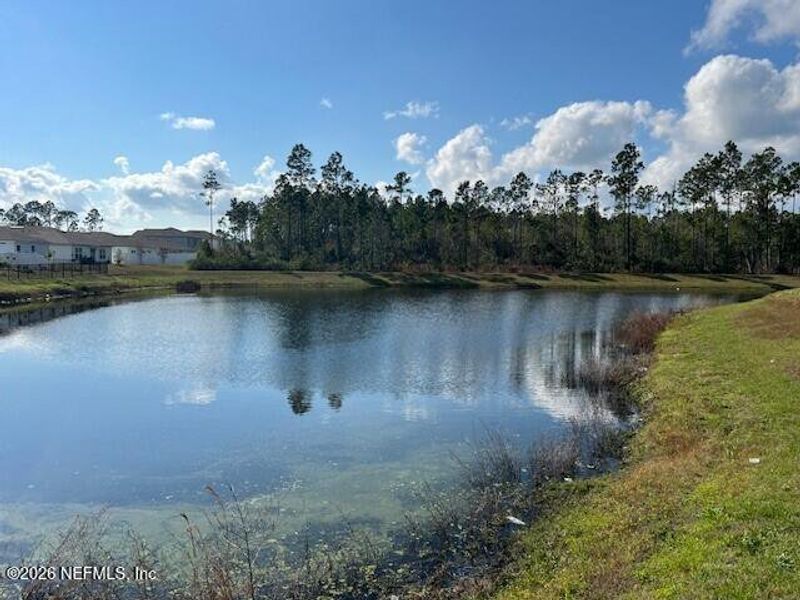 Natural landscape and outdoor views near Sawmill Branch in Palm Coast (Image 43).