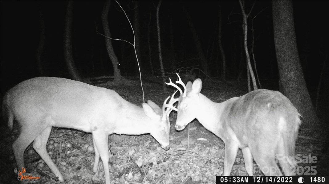 Image 31 of a home in .