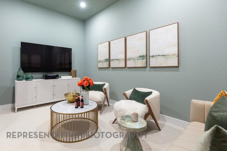 Entertainment Room