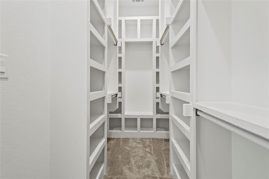 Spacious closet with carpet flooring