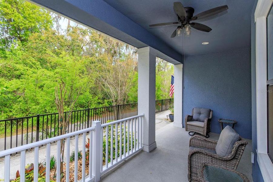 Porch View of Nature & Trail