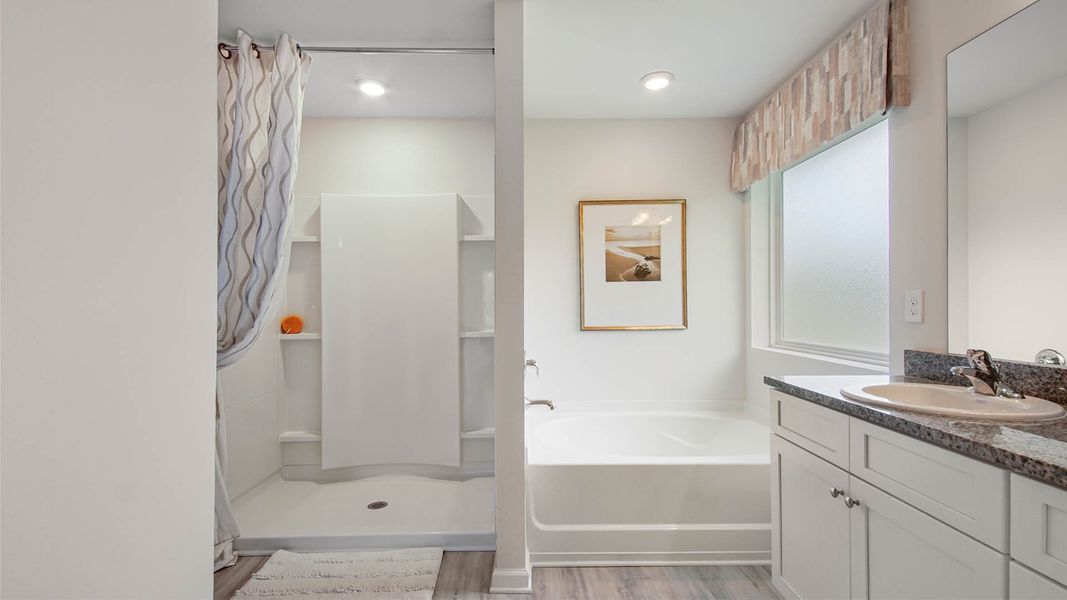 Representative furnished interior of a home built from the Cali by D.R. Horton in Ashton Park Phase III, Freeport (Image 21).