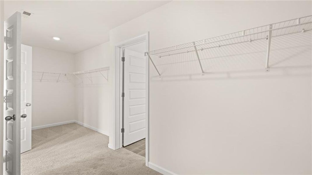 Spacious, unfurnished interior of a new home in Westland, Statham (Image 21).