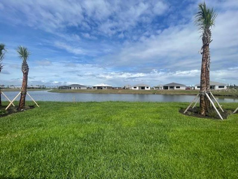 Natural landscape and outdoor views near Del Webb Catalina in Lakewood Ranch (Image 22). Natural landscape and outdoor views near Del Webb Catalina in Lakewood Ranch (Image 22).