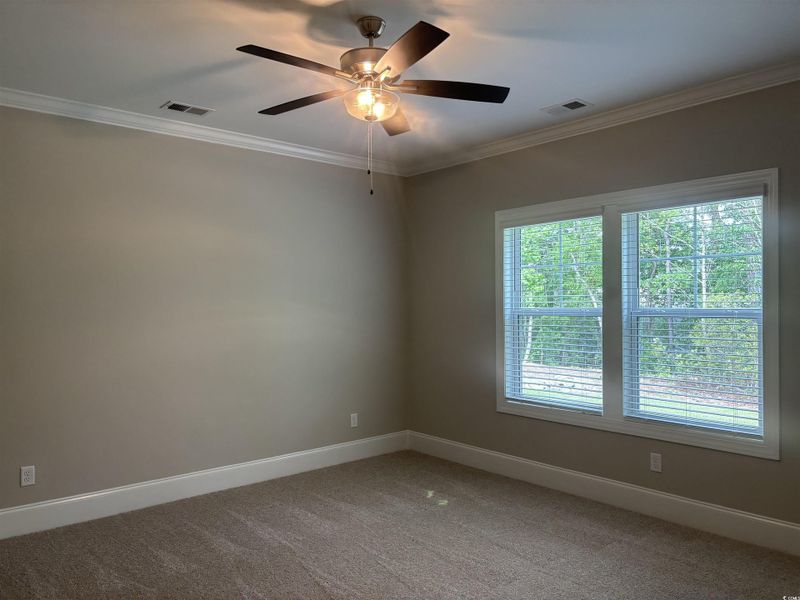 Empty room with plenty of natural light, baseboards, and ornamental molding