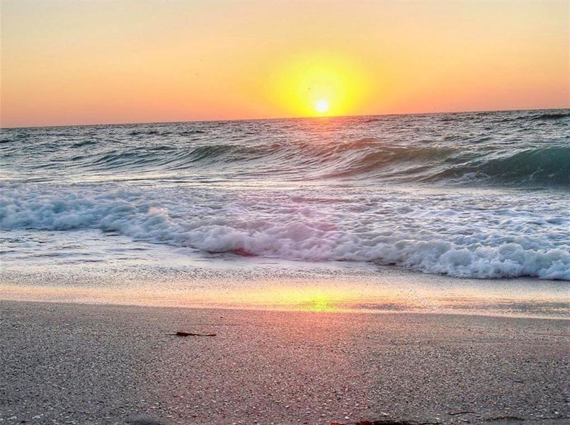 Natural landscape and outdoor views near  in North Port (Image 6).