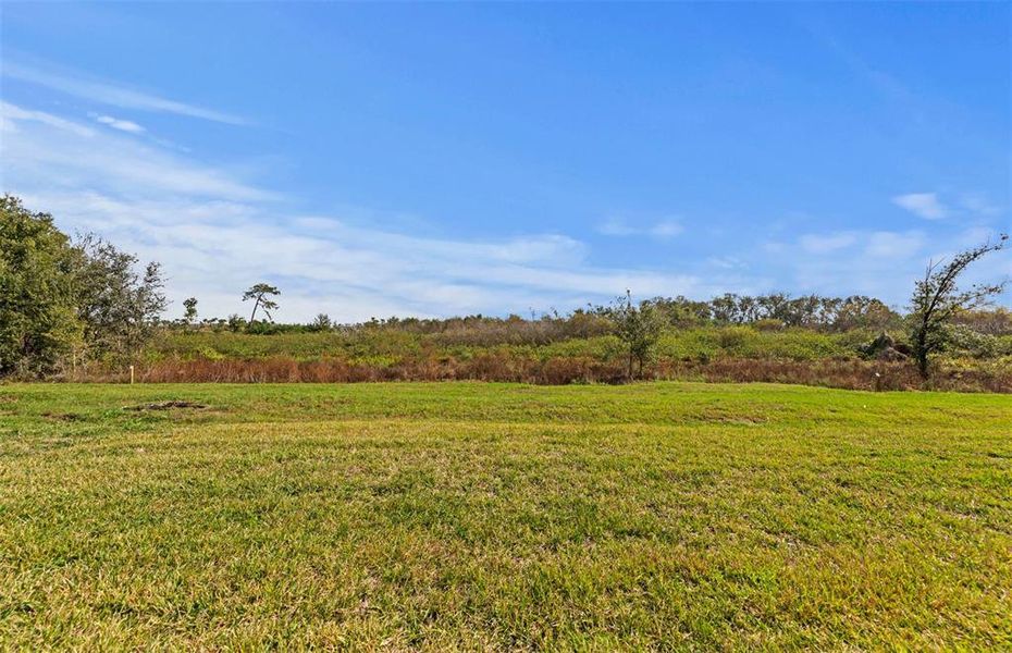Natural landscape and outdoor views near Del Webb Catalina in Lakewood Ranch (Image 32). Natural landscape and outdoor views near Del Webb Catalina in Lakewood Ranch (Image 32).