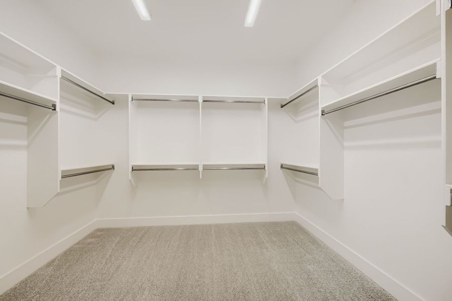 1281 White Pine - Primary Closet 1281 White Pine - Primary Closet