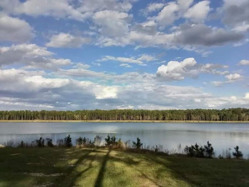Natural landscape and outdoor views near Tidewater at Lakes of Cane Bay in Summerville (Image 46).