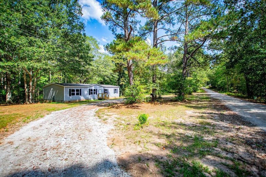 Natural landscape and outdoor views near  in Carrollton (Image 59).