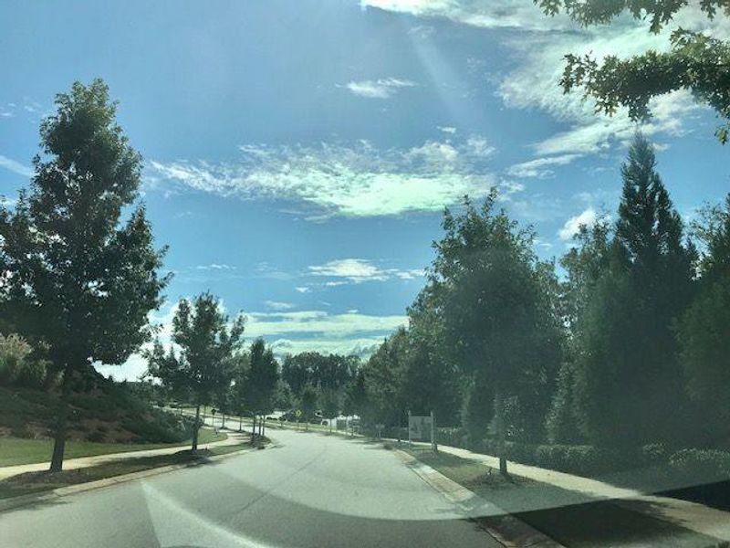 Natural landscape and outdoor views near  in Hoschton (Image 25).