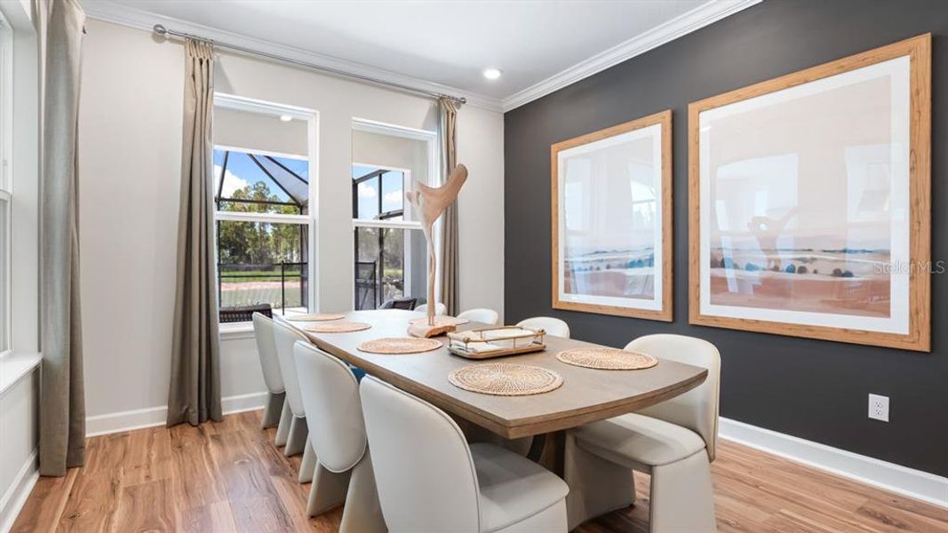 Furnished interior view inside a new home in Hammock at Two Rivers, Zephyrhills (Image 11).
