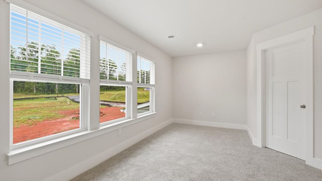Eye-catching details and elegant finishes in the vibrant primary suite of this select home by DRB Homes