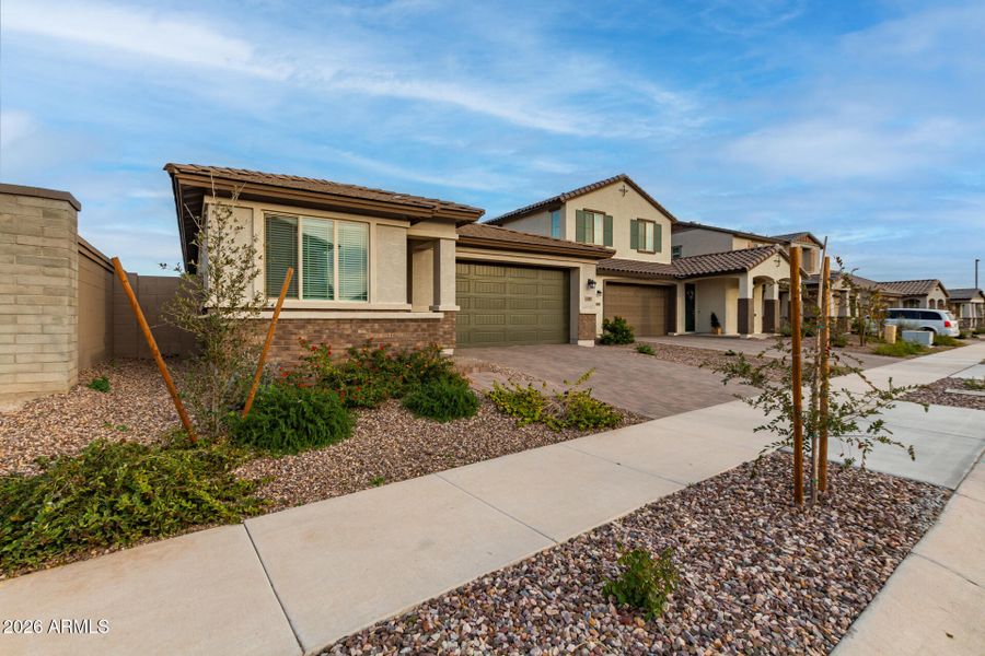 06-Wollemi 06-Wollemi