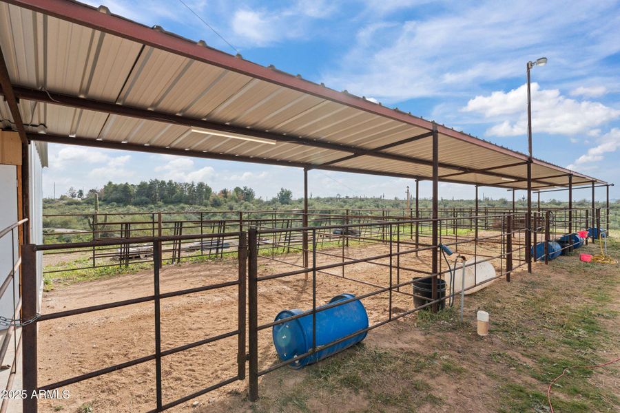 28-web-or-mls-DSC06587