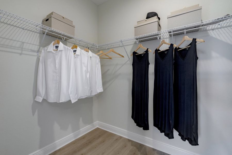 Hayden primary W.I.C.