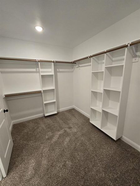 Walk in closet featuring dark colored carpet