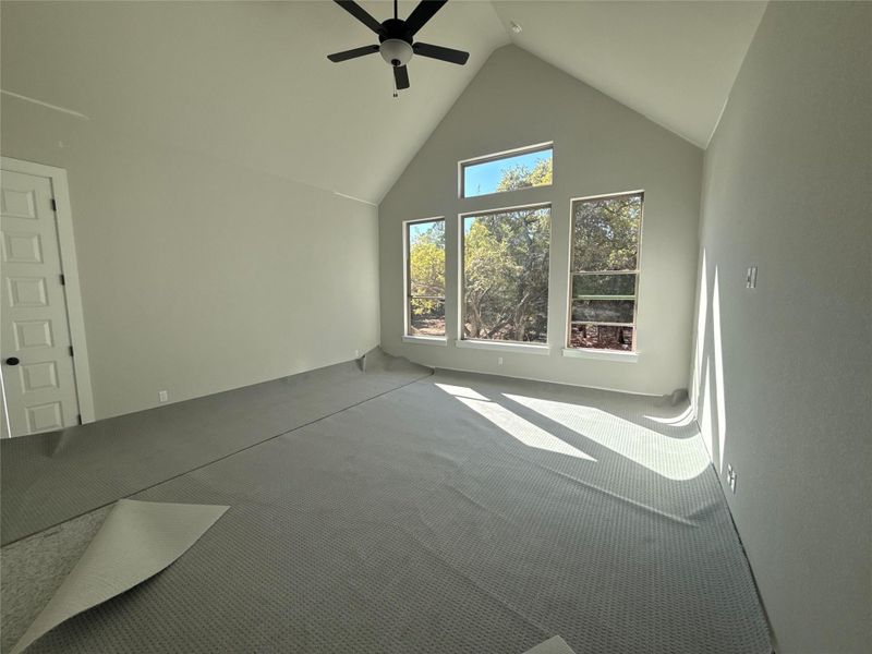 Primary Bedroom with Vaulted Ceiling