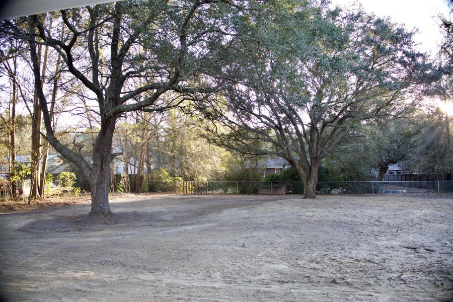 Natural landscape and outdoor views near  in Hollywood (Image 21).