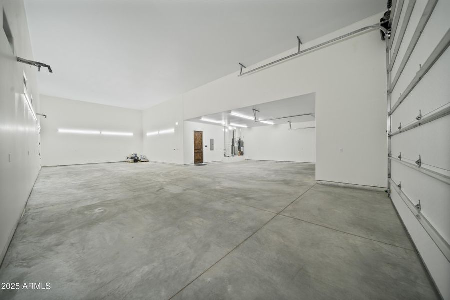 Lupine Ln Reshoot 00010