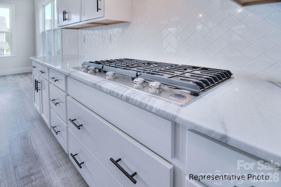 Close-up of interior finishes inside a home in Edmunds Farm, Clover (Image 15).