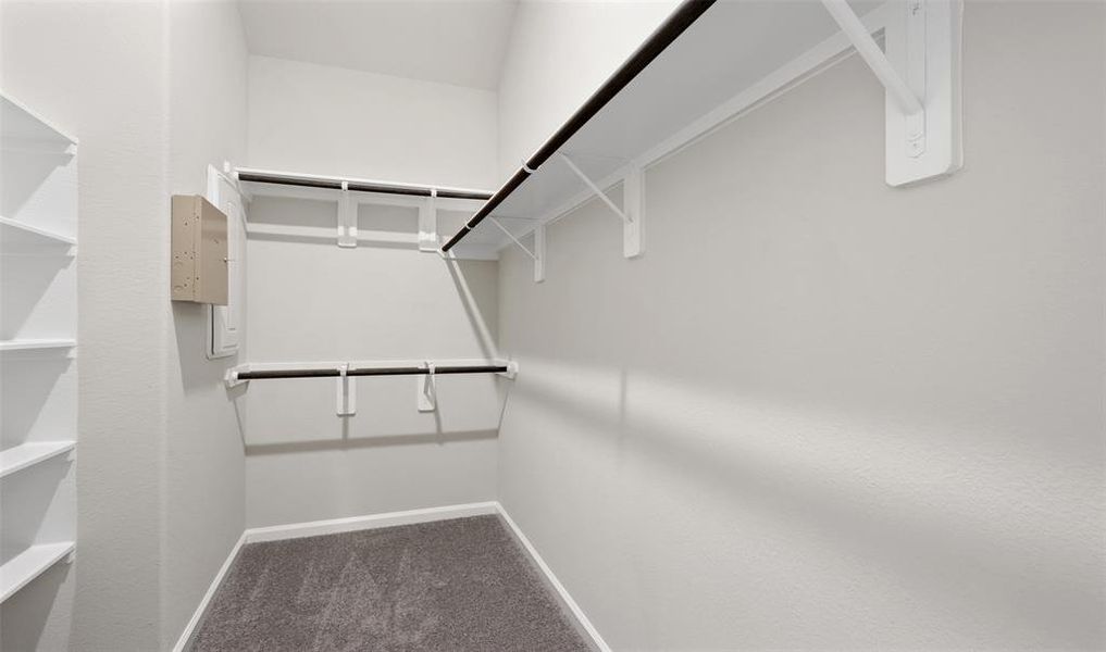 Huge owner's walk-in closet (*Photo not of actual home and used for illustration purposes only.)