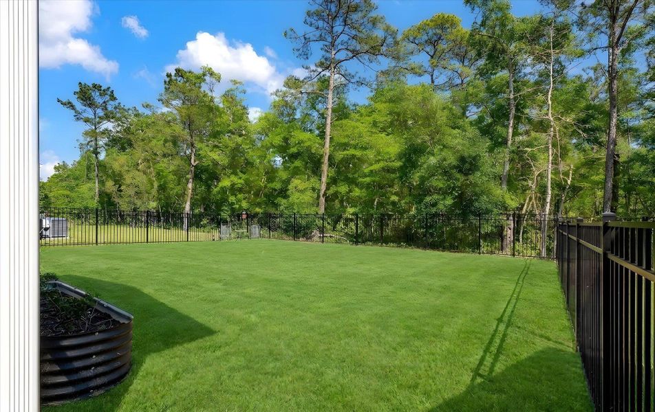 Natural landscape and outdoor views near  in Johns Island (Image 60).