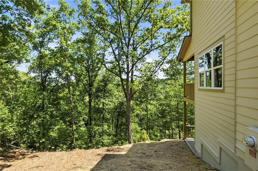 Exterior details and patio area of a home in , Ranger (Image 33).