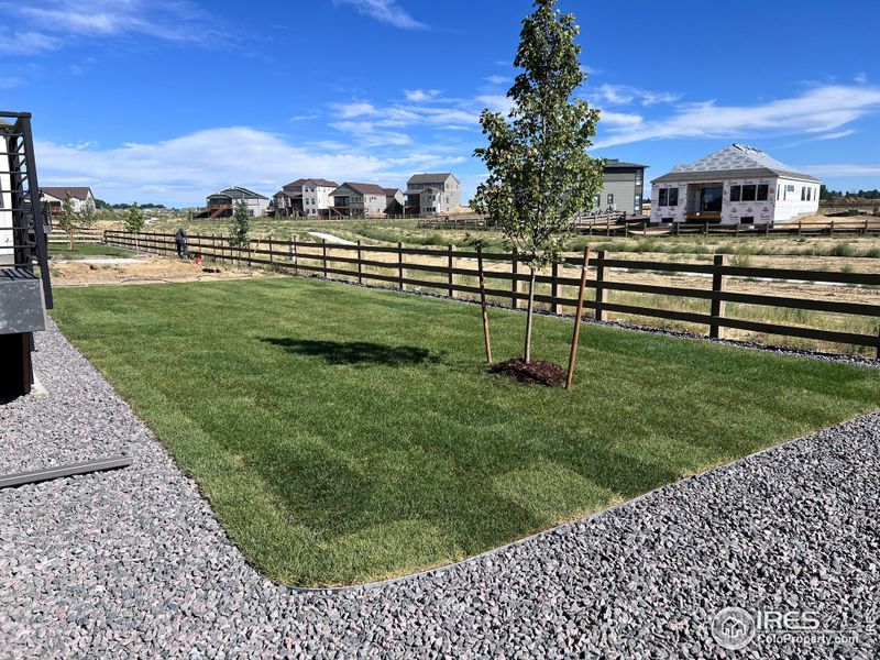 Back yard is now landscaped!