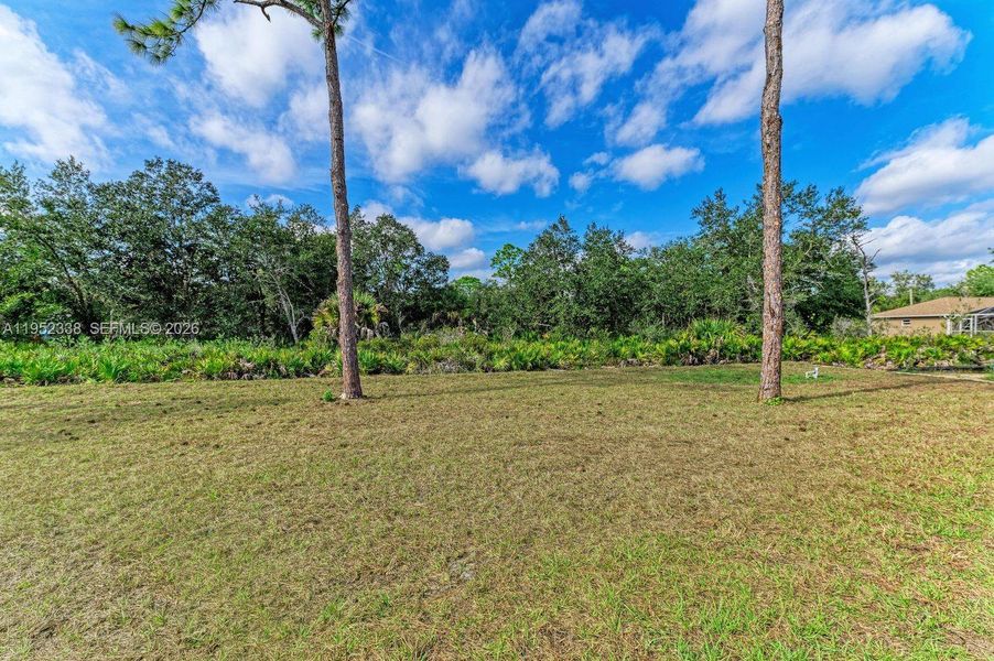 Natural landscape and outdoor views near  in North Port (Image 36).