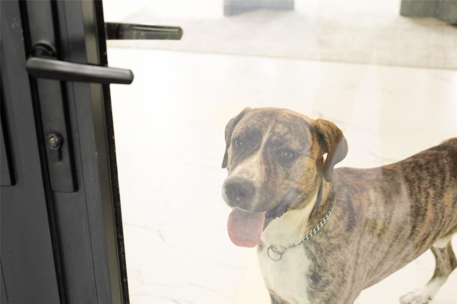 Canon is still waiting for his forever home!! Could 625 Piney Point be yours? Canon is still waiting for his forever home!! Could 625 Piney Point be yours?