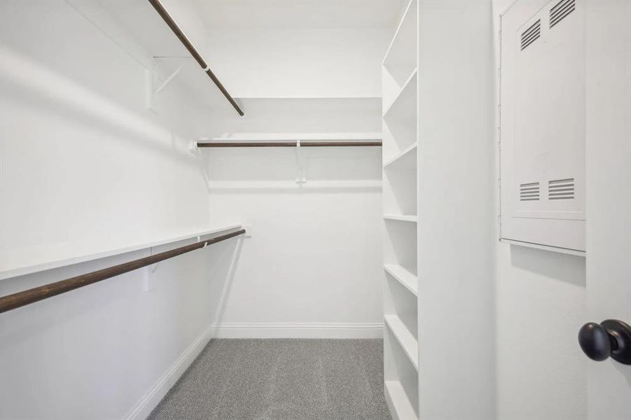 Walk in closet with carpet flooring