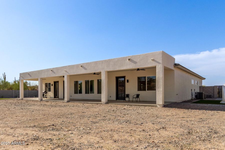 50 - Hummingbird 50 - Hummingbird