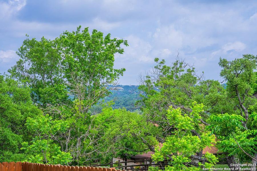 Natural landscape and outdoor views near  in Kerrville (Image 24).