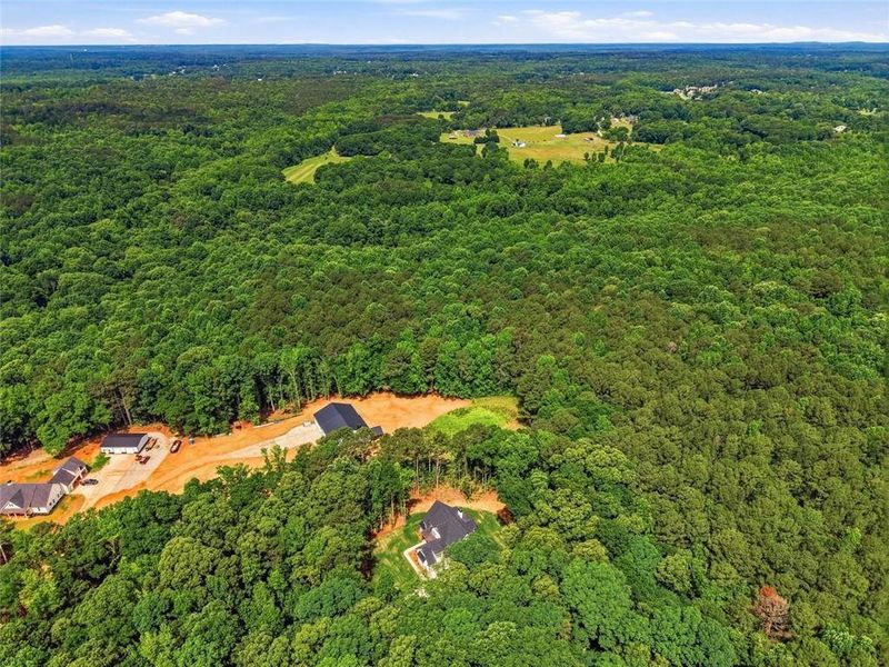 Natural landscape and outdoor views near  in Covington (Image 78).