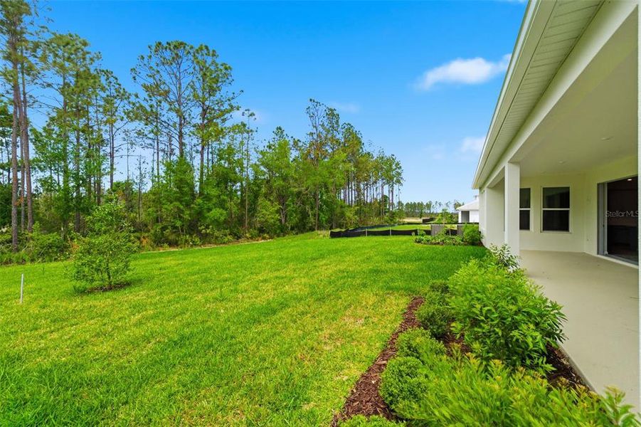 Exterior details and patio area of a home in Hammock at Two Rivers, Zephyrhills (Image 37).