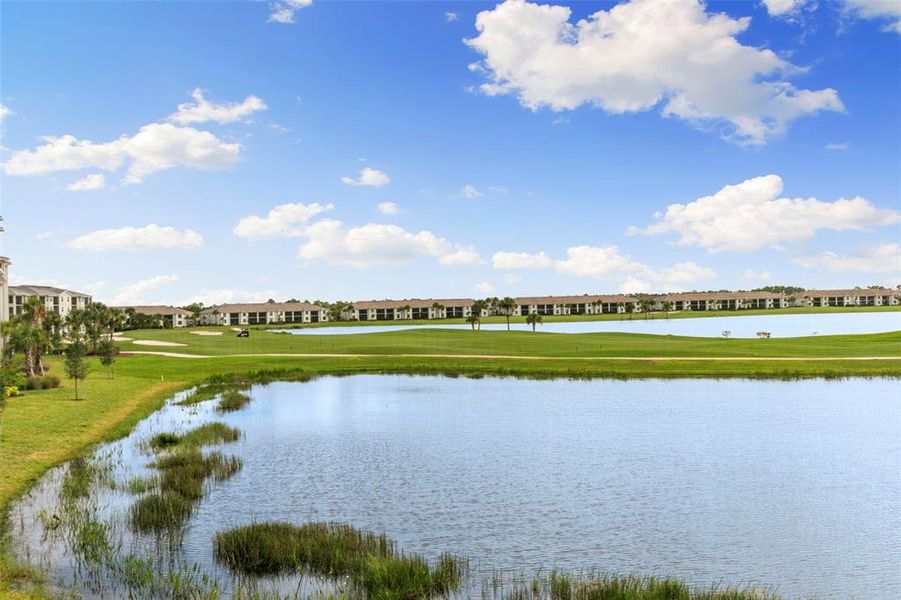 Natural landscape and outdoor views near  in Punta Gorda (Image 29).