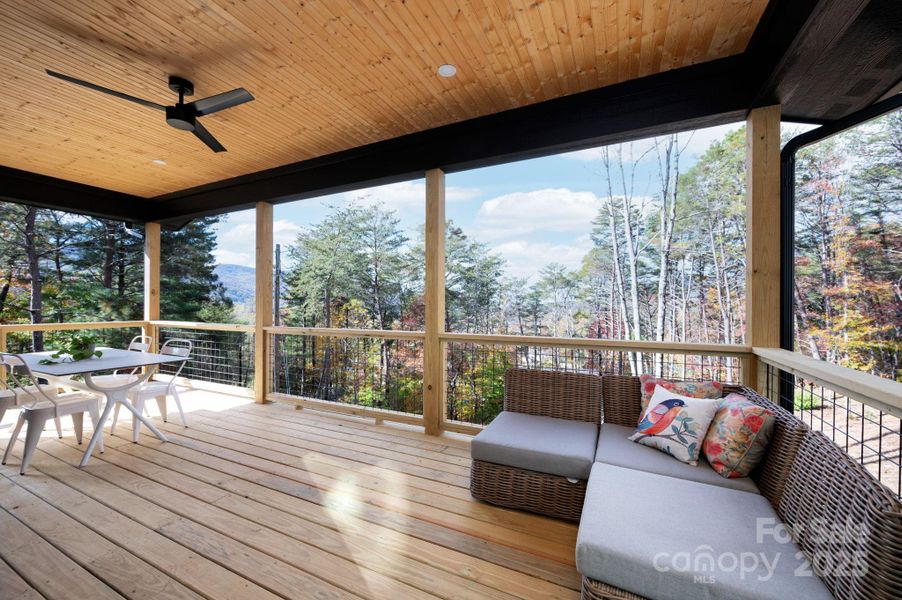 Mature Trees Frame Mountain View